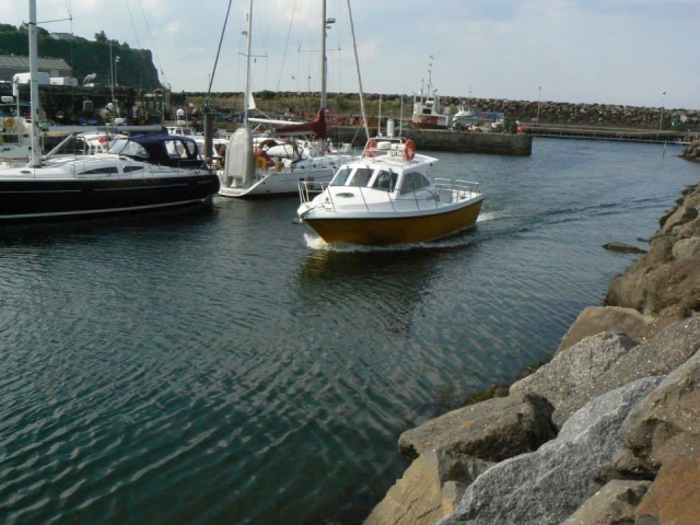  Casi en casa otra vez 