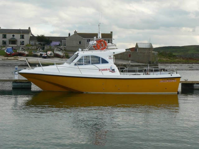  Nuestro bebé amarillo 