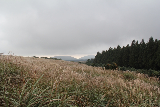  Alrededor del lago