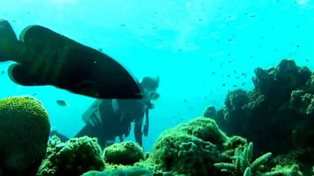  Un pequeño cuale frenle a 