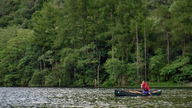  Canoa y bosque 