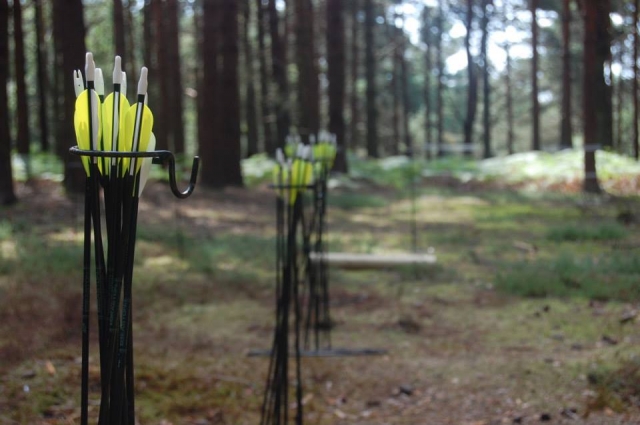  Flechas fluorescentes 