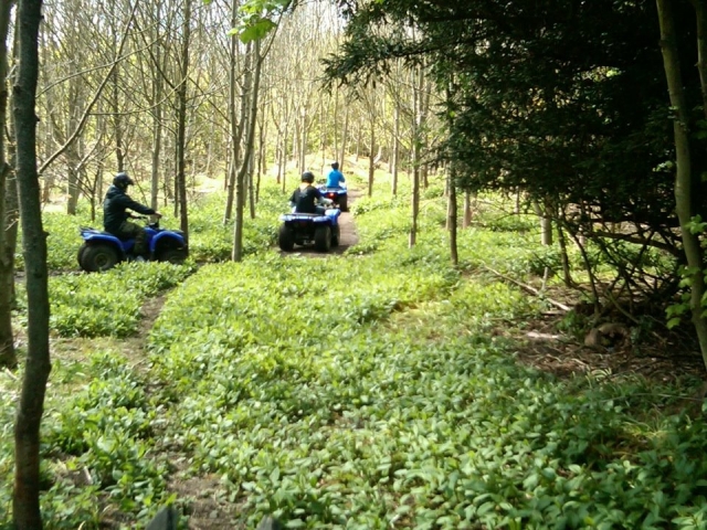  Cuatrimotos con amigos 
