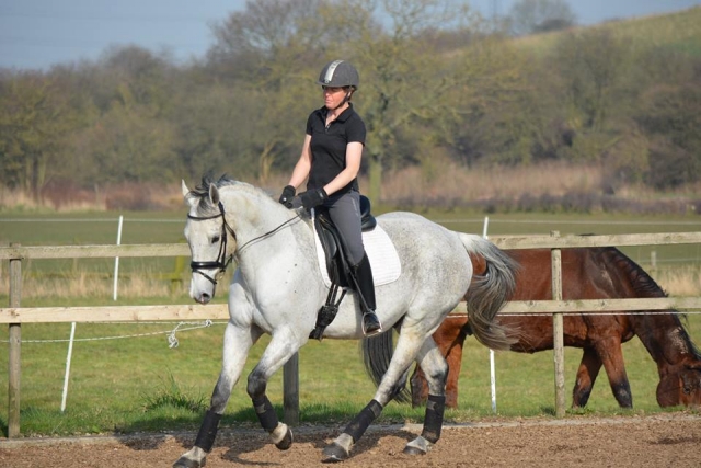 Sherwood Riding School