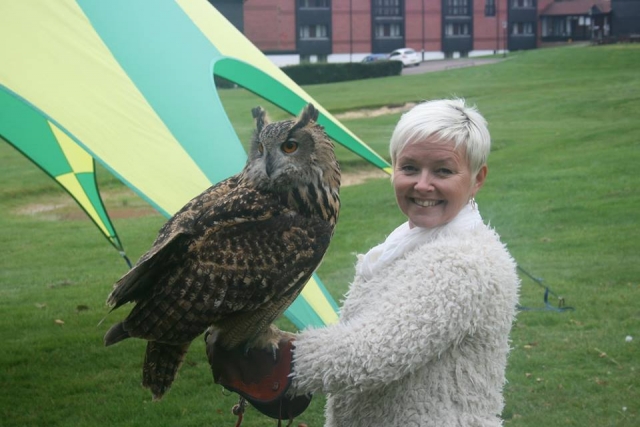 Falconry UK