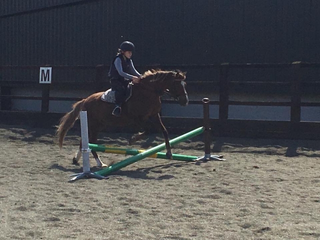  Saltar y piratear en TLE Equestrian Center 