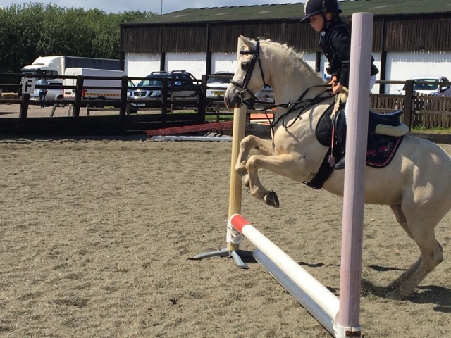 TLE Equestrian Centre