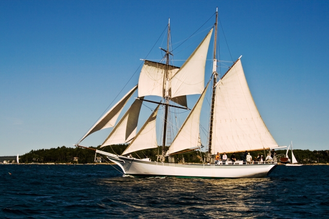  Vela 