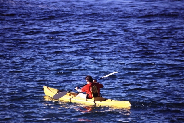  Kayak 
