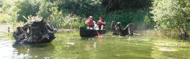  Explorando los canales