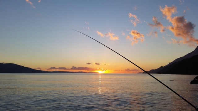  Pesca 