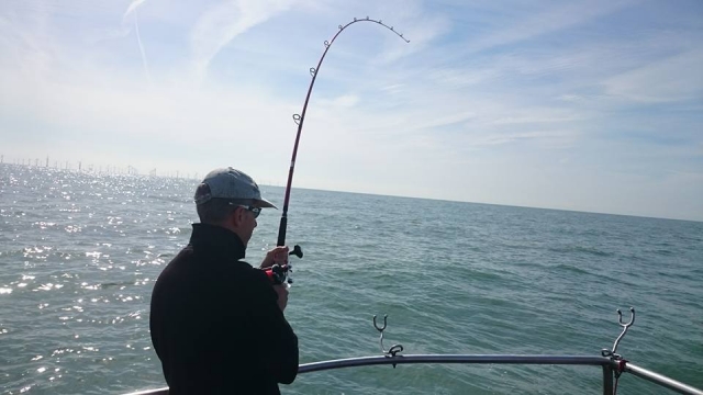  Pesca