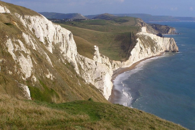  Dorset 