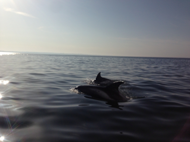  Aguas tranquilas en el mar 
