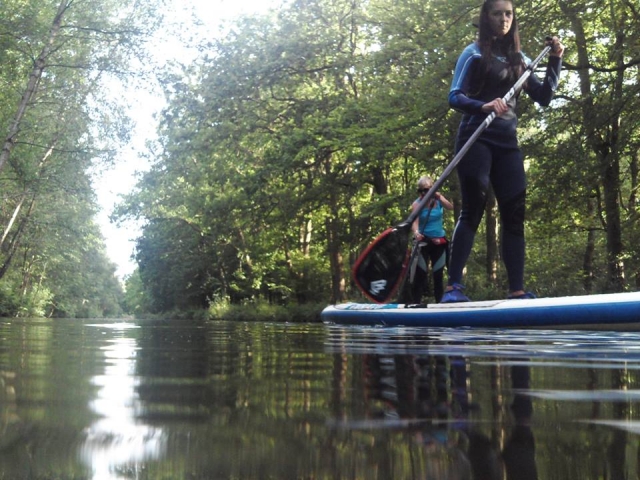  Imagen perfecta para el momento perfecto 