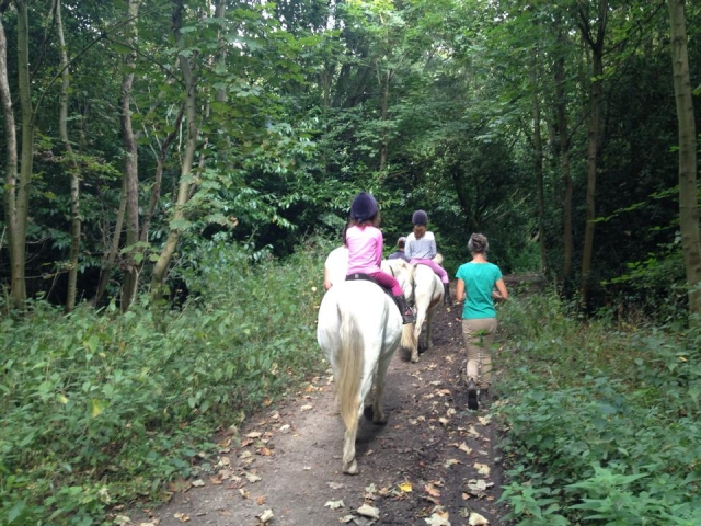  Niños subiendo en el bosque 