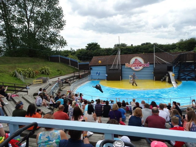  Bellos espectáculos 