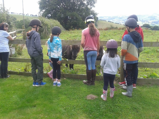  A los niños les encantan los ponis 