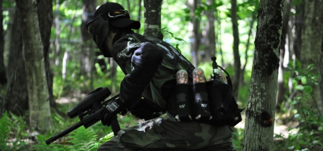 Ataque en el bosque 
