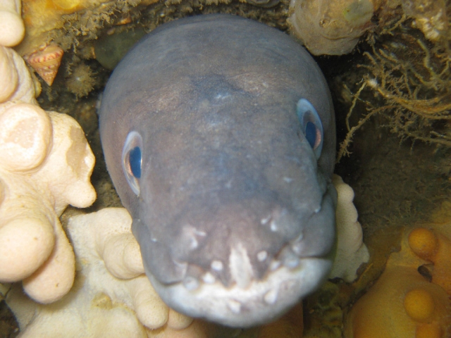  Toma fotos impresionantes en nuestros viajes al mar 