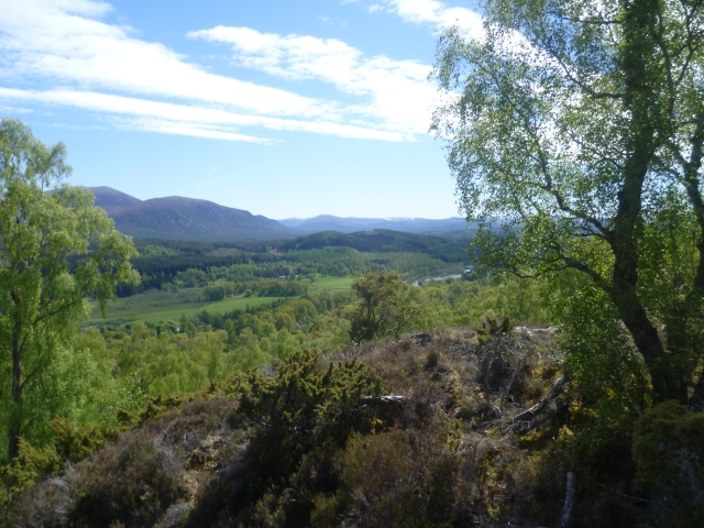  Vistas de Cairngorm 
