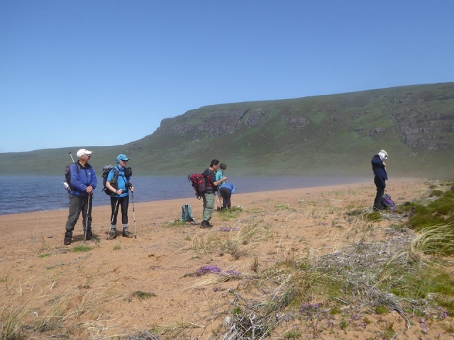 Explorando alguna cerro desértica 