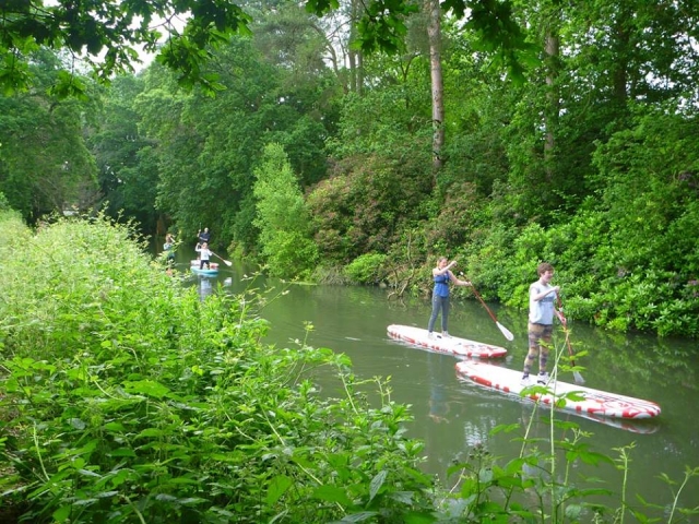  Rodeado de naturaleza 