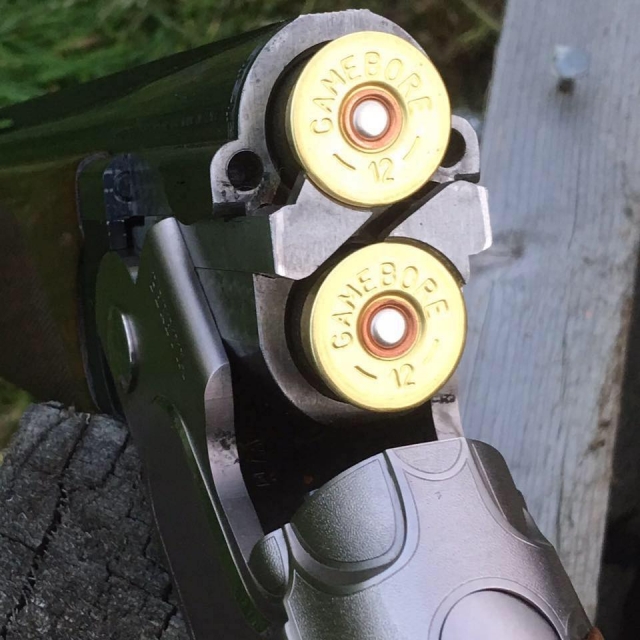  Impresionantes cartuchos 