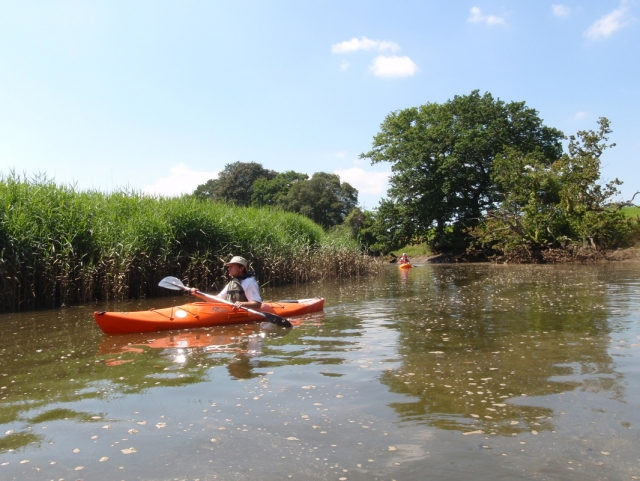  kayak en el río 