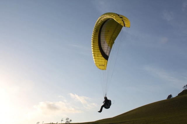  Parapenle 