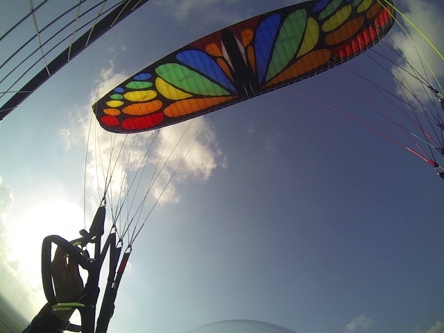  Colorido PPG Butterfly Wing 