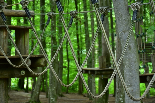  escalada 
