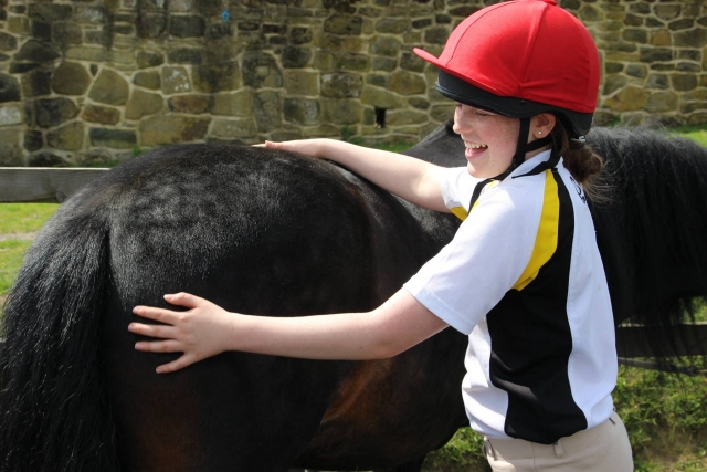 Think Like a Pony
