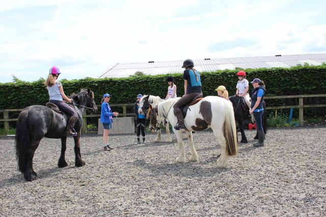  ponis y aprendiendo 