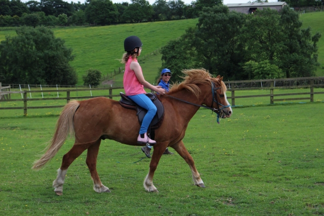  subiendo un pony 