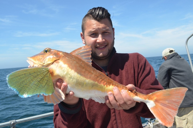  experiencia de pesca 