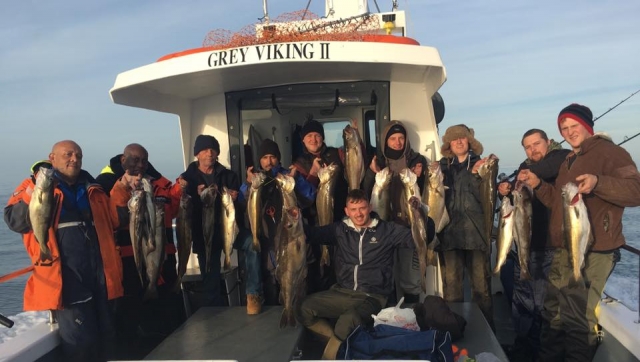  todos juntos y navegando 