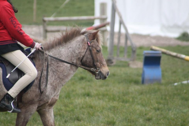  cabalgamarra 