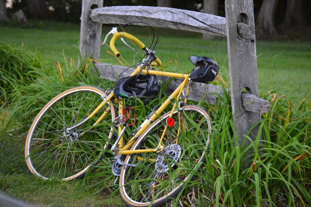  hermosa bicicleta 