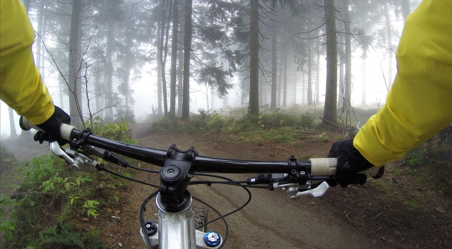  ciclismo en el bosque