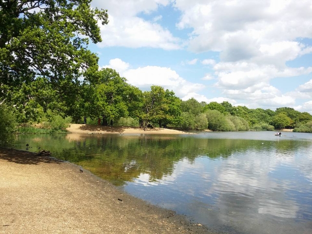  el lago en estanques huecos 