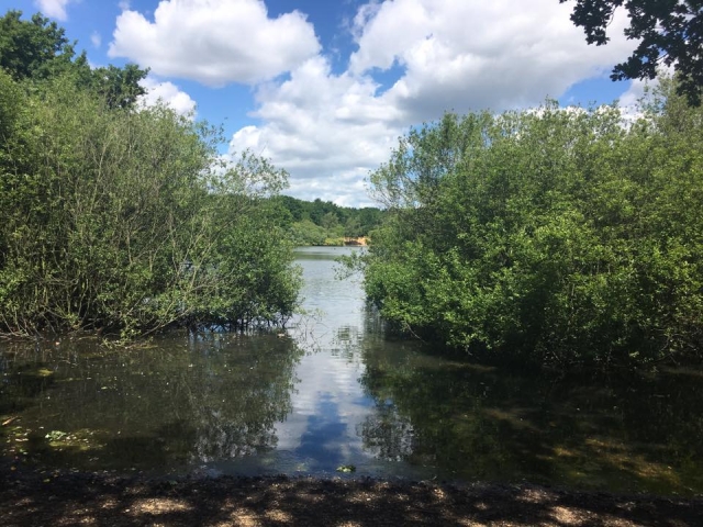  alrededores increíbles 