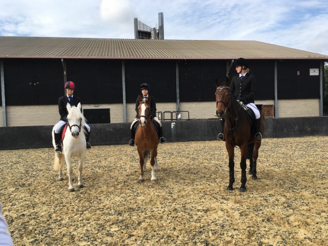  Todos juntos a caballo 