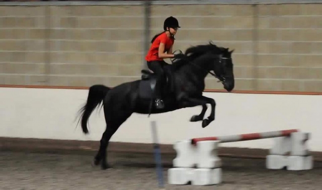  Saltar y subir a caballo 