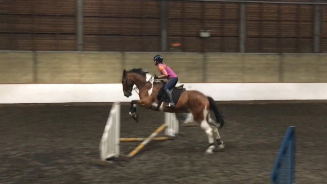  Divertirse y aprender