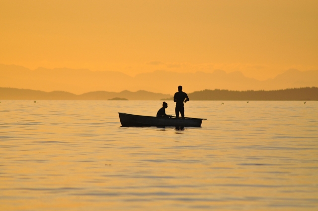  pesca en el lago 