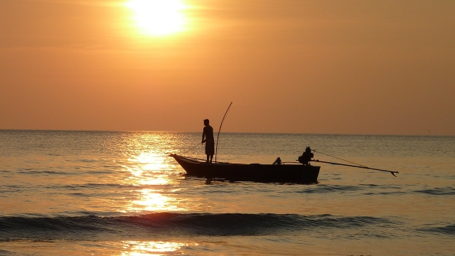  pesca al atardecer 