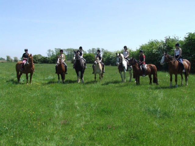  Hacking en el campo 