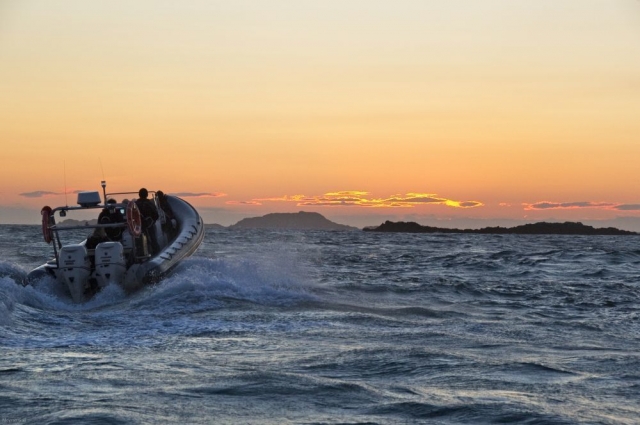 Solent Boat Charters