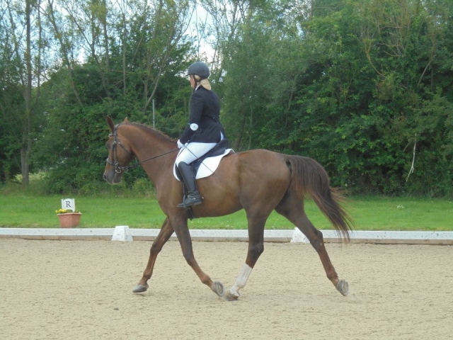  Clases en todos los niveles 